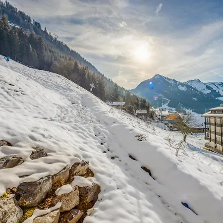 The View - 09 - Bo Immobilier- - Reduced Prices On Passes & Portes Du Soleil *