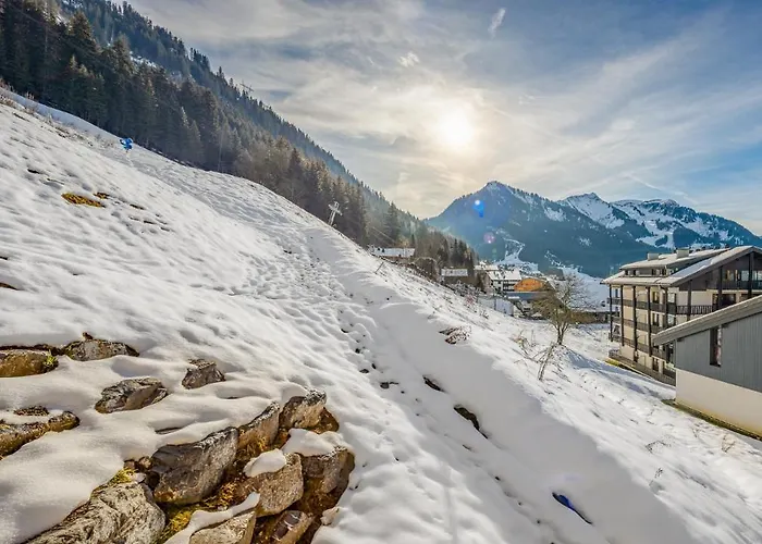 The View - 09 - Bo Immobilier- - Reduced Prices On Passes & Portes Du Soleil *